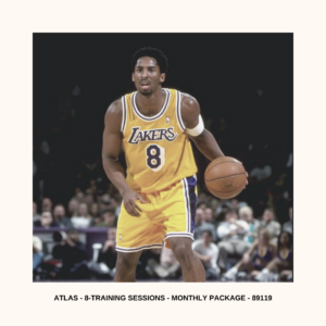 II. 8-Session Basketball Skills / Performance Training Package | Monthly