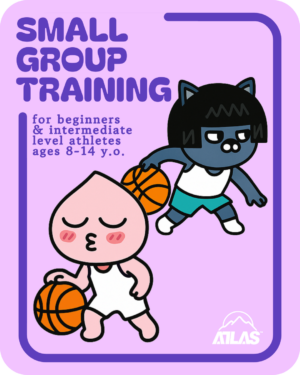 small group training | beginners - intermediate