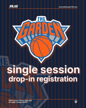 aba | drop-in | single session